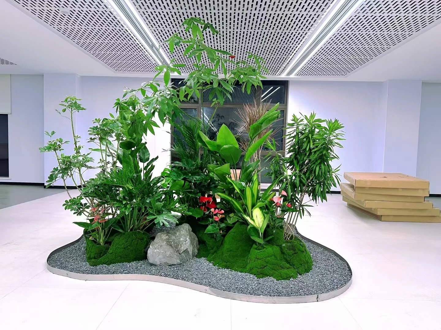 专业花木租摆鄞州行,品质服务超贴心